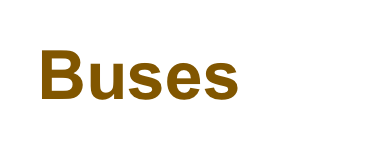 Buses