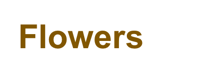 Flowers
